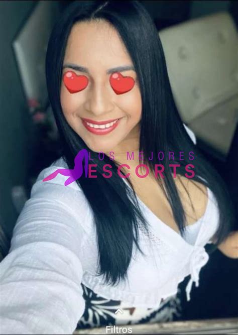 PUTAS EN NAVARRA. ANUNCIOS DE ESCORTS EN。